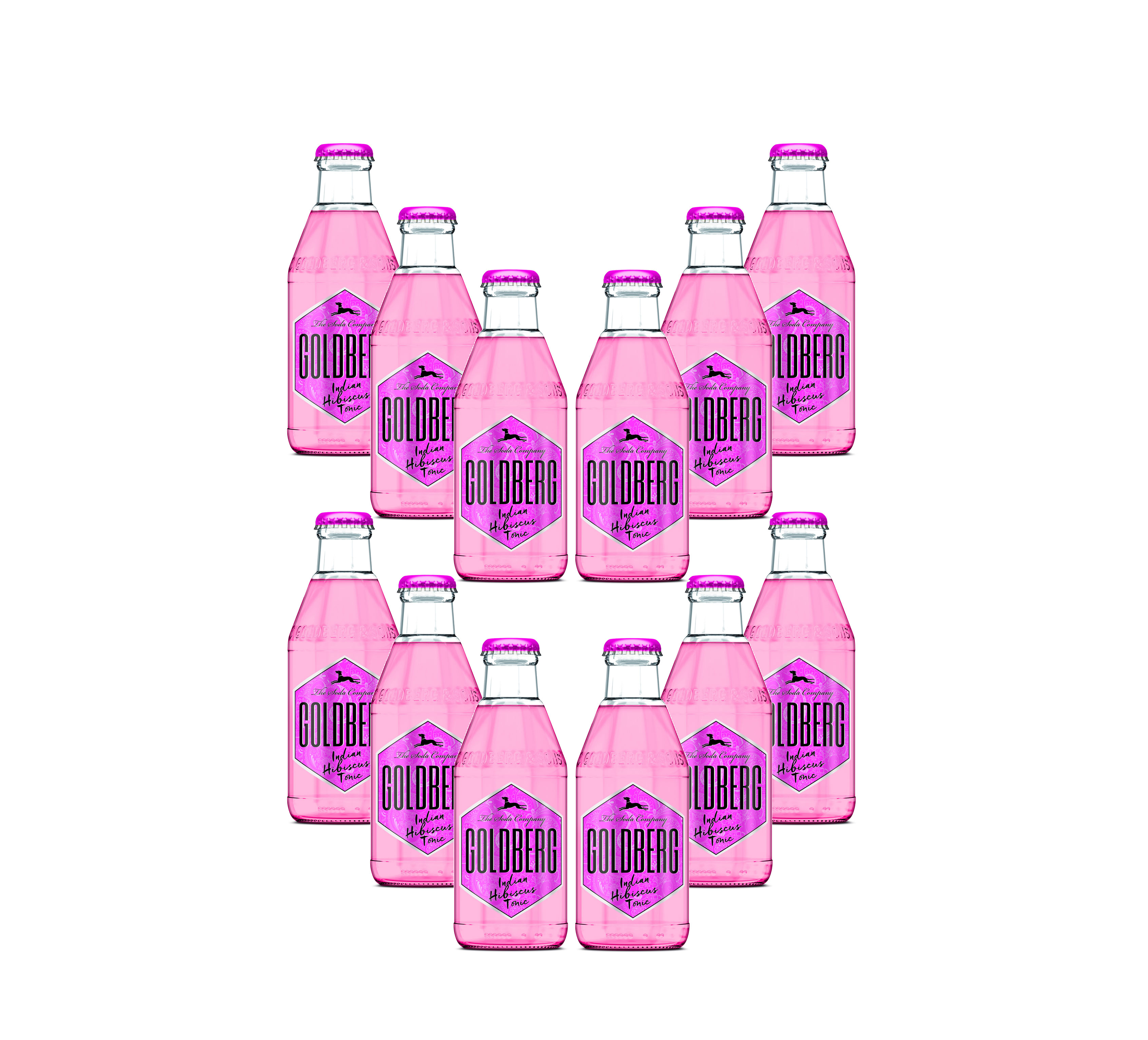 Goldberg Indian Hibiscus Tonic Water 12er Set - 12x200ml inkl. Pfand MEHRWEG