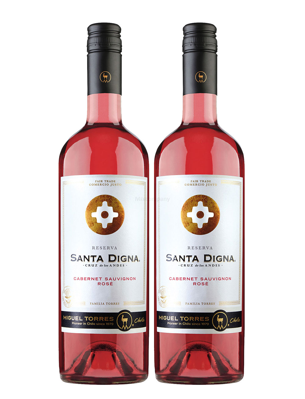 Rose Wein Set - 2x Santa Digna Cabernet Sauvignon 750ml (13,5% Vol)- [Enthält Sulfite]
