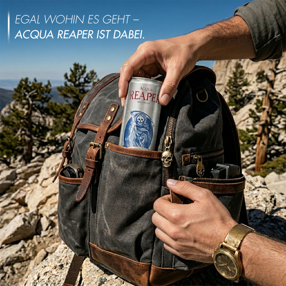 Eine Hand packt eine Acqua Reaper Dose stilles Wasser in einen Rucksack vor einer Berglandschaft. Perfekt als Getränk für unterwegs und zum Trinken in der Natur.