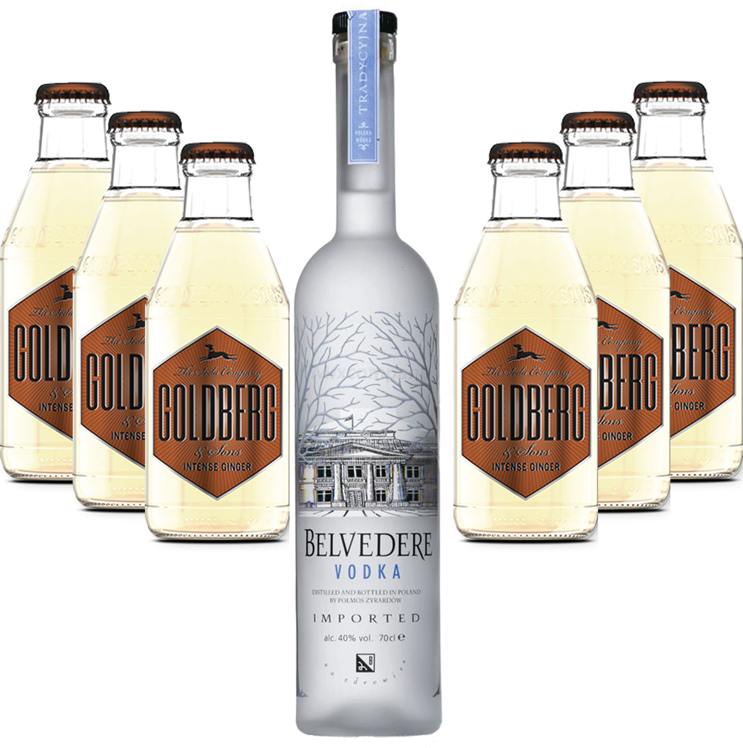 Moscow Mule Set - Belvedere Vodka 0,7l 700ml (40% Vol) + 6x Goldberg Intense Ginger 200ml - Inkl. Pfand MEHRWEG