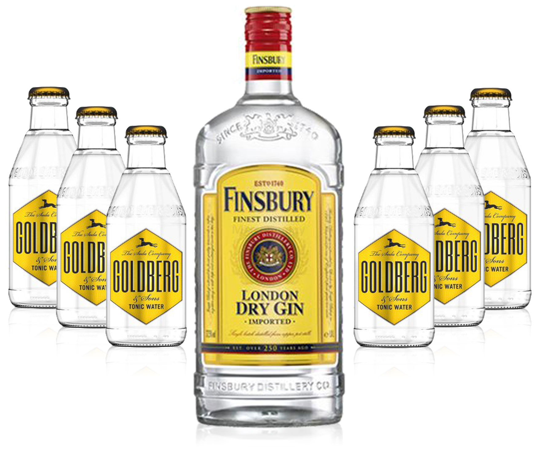 Gin Tonic Set - Finsbury London Dry Gin 0,7l 700ml (37,5% Vol) + 6x Goldberg Tonic Water 200ml - Inkl. Pfand MEHRWEG