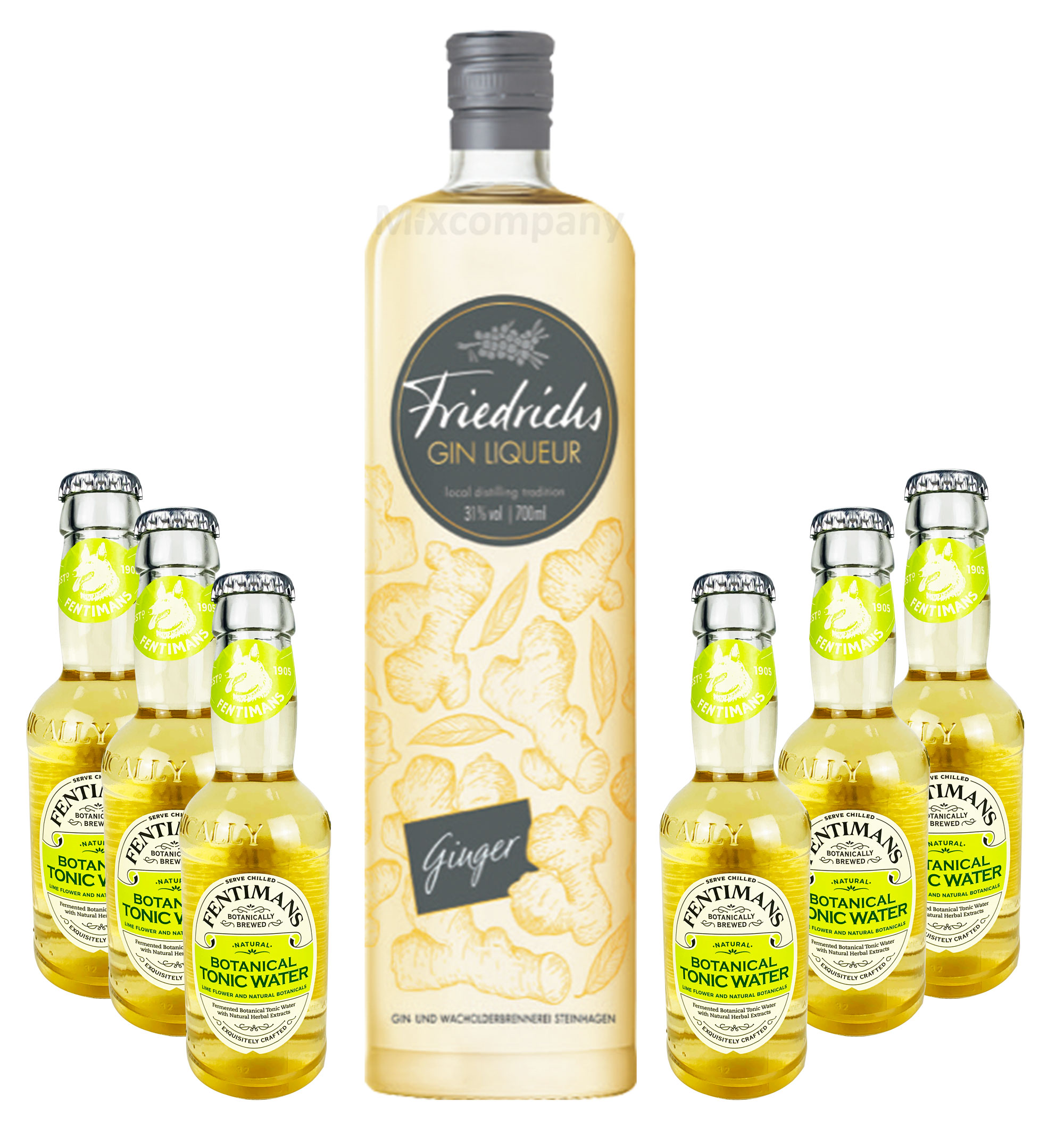 Friedrichs Gin Liqueur Ginger 0,7l 700ml (31% Vol) + 6x Fentimans Botanical Tonic Water 0,2l MEHRWEG inkl. Pfand Gin Tonic Bar- [Enthält Sulfite]