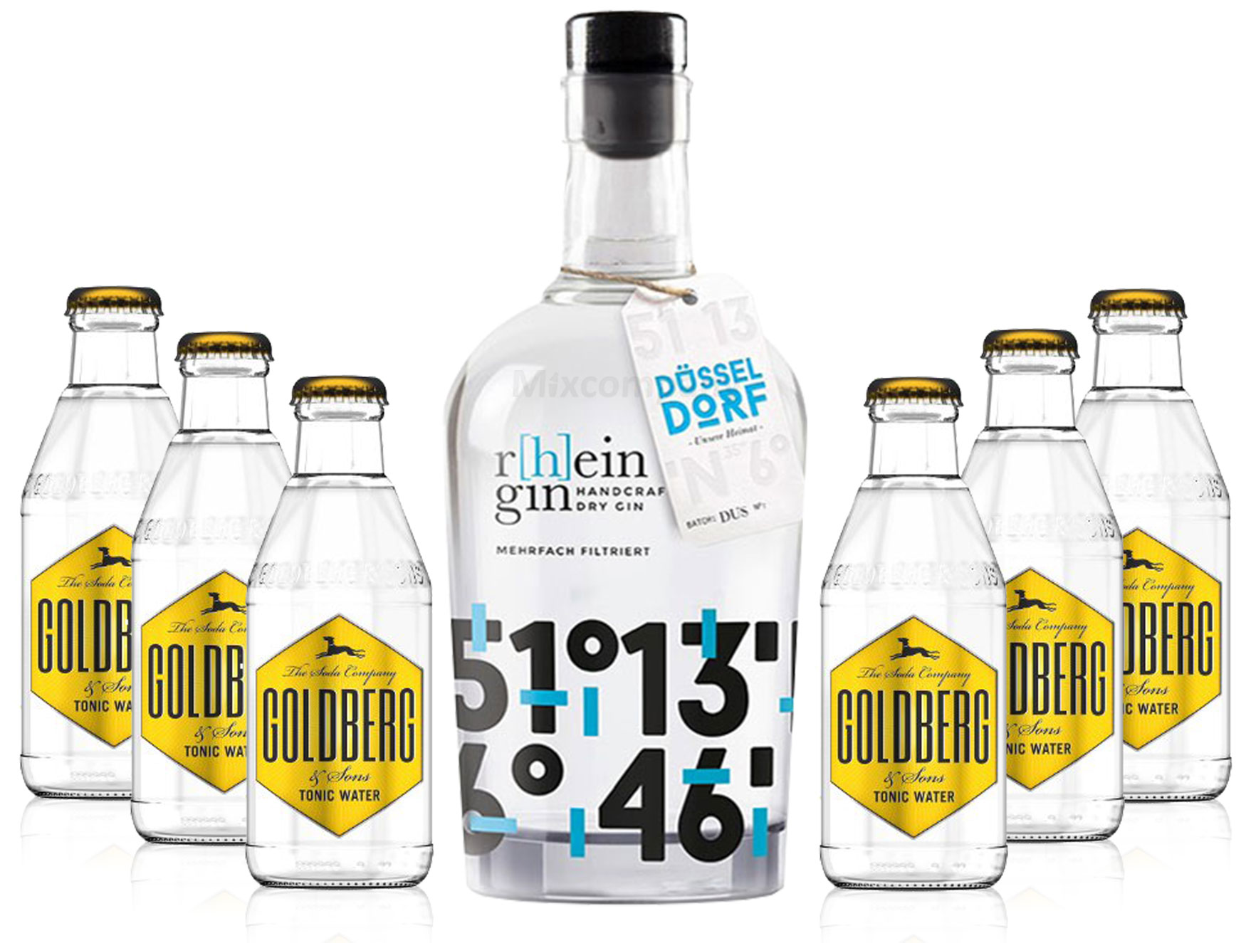 r[h]eingin Handcrafted Dry Gin 0,5l 500ml (46% Vol) + Goldberg Tonic Water 0,2l MEHRWEG inkl. Pfand Gin Tonic Bar- [Enthält Sulfite]