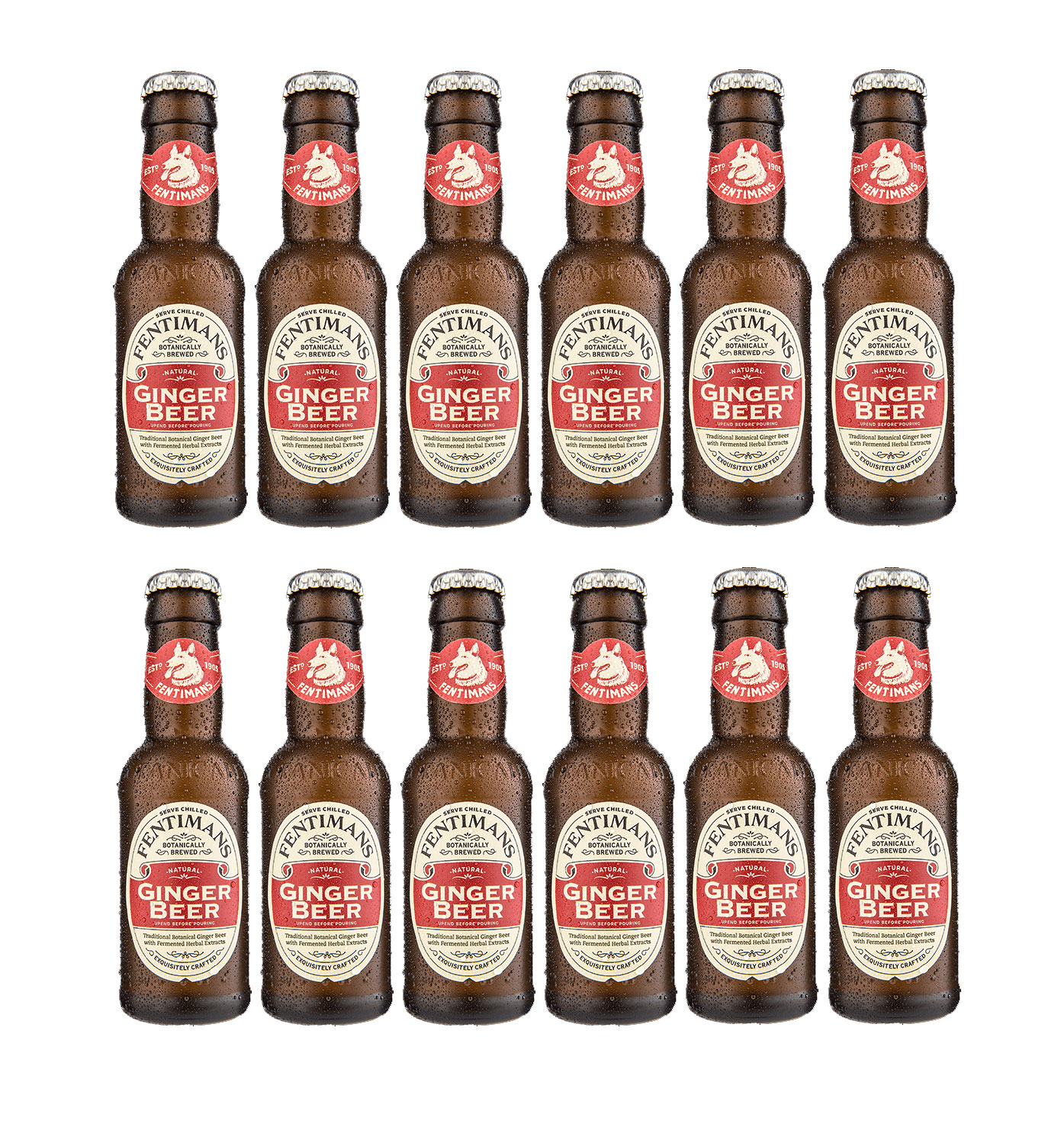 Fentimans Ginger Beer 12er Set 200ml inkl. Pfand MEHRWEG