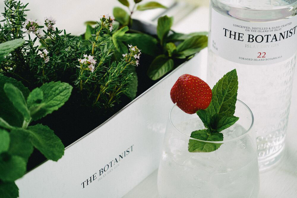 Gin Tonic Set / Geschenkset - The Botanist Islay Dry Gin 0,7l 700ml (46% Vol) + 4x Thomas Henry Tonic Water 200ml - Inkl. Pfand MEHRWEG