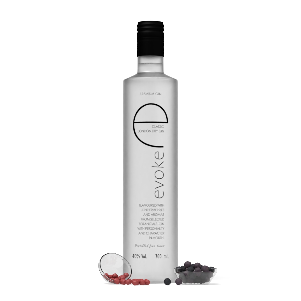 Evoke 2er Set London Dry Gin 2x 0,7L (40% Vol) Der 5 fach destillierte Gin mit Aromen von Wacholderbeeren und ausgewählten Botanicals - [Enthält Sulfite]