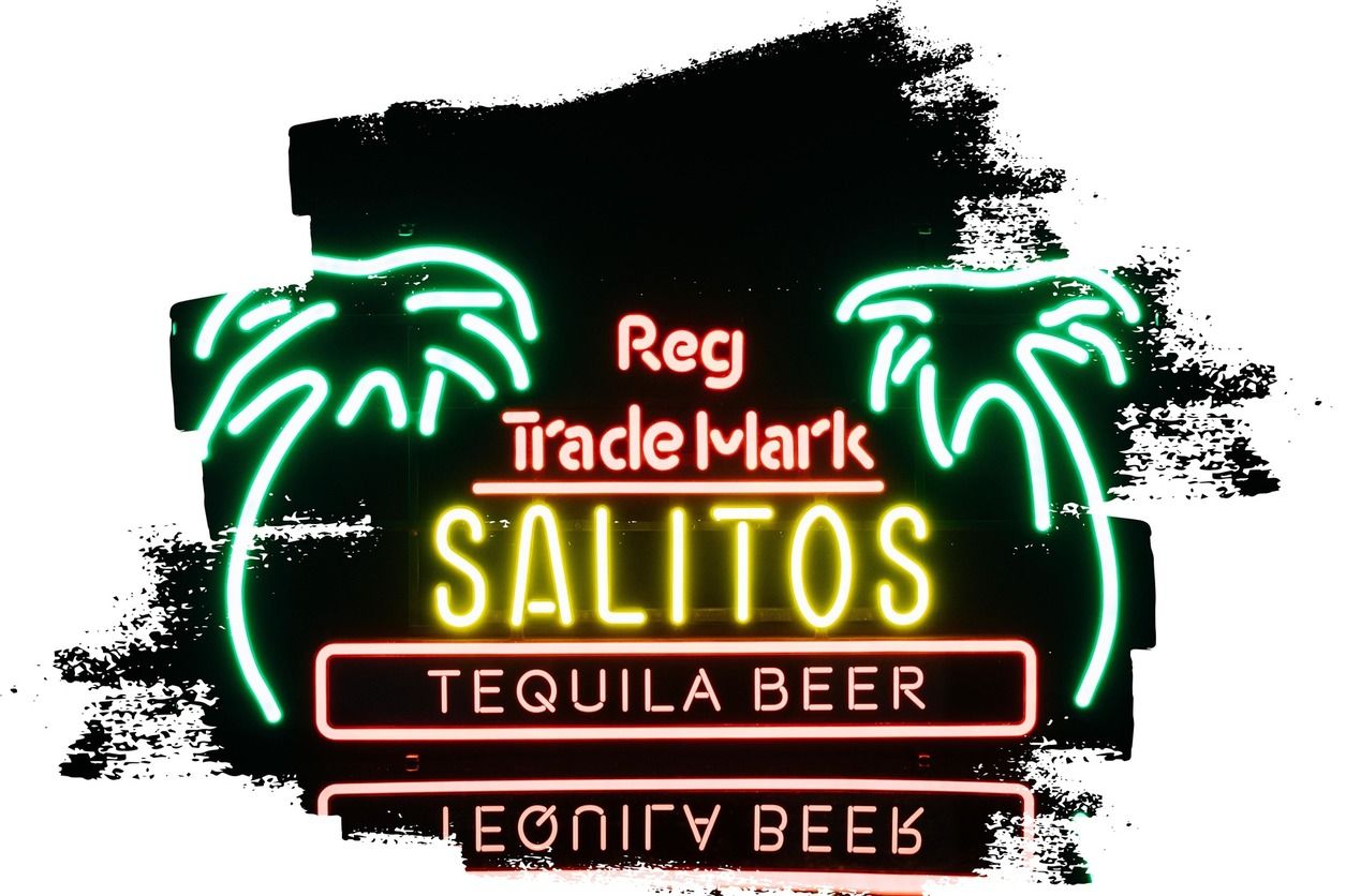 SALITOS Neon Sign Palme Neon Schild Neonreklame Leuchtreklame LED