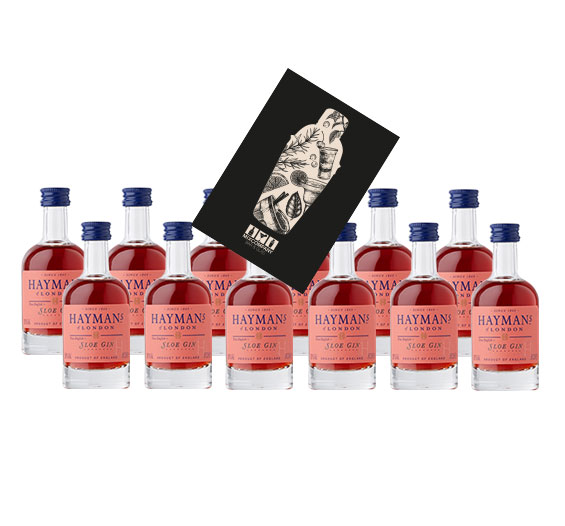 Haymans Sloe Gin Miniatur 12x 50ml (26% vol) Haymans of London Mini- [Enthält Sulfite]