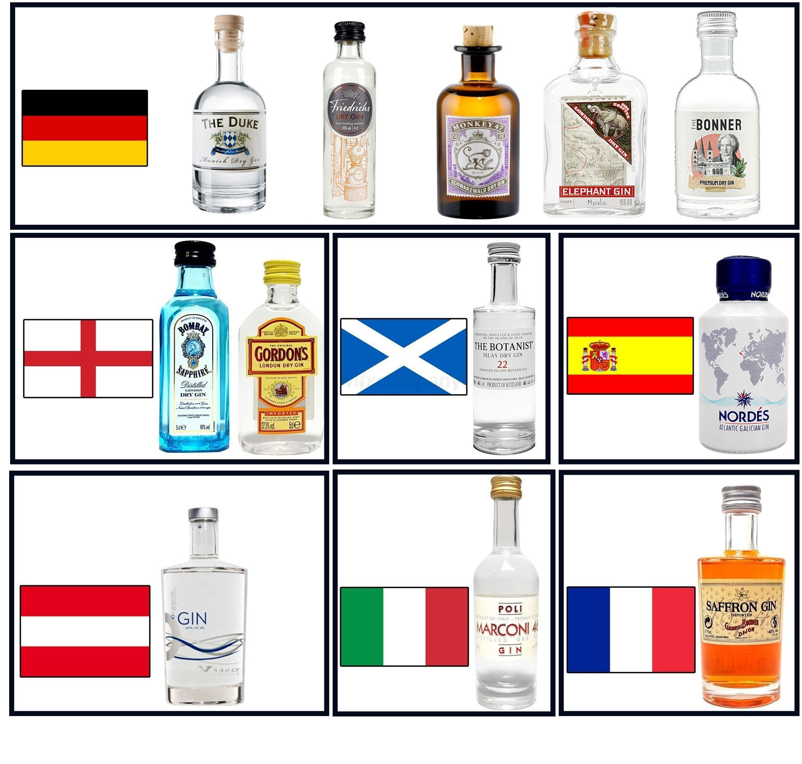 Gin Mini Set Probierset Weltreise 12 Gins aus aller Welt - Monkey 47, Siegfried, Elephant, The Botanist, Bombay Sapphire, Gordons, Saffron, Nordes, Poli Marconi 46, Organic, the Duke