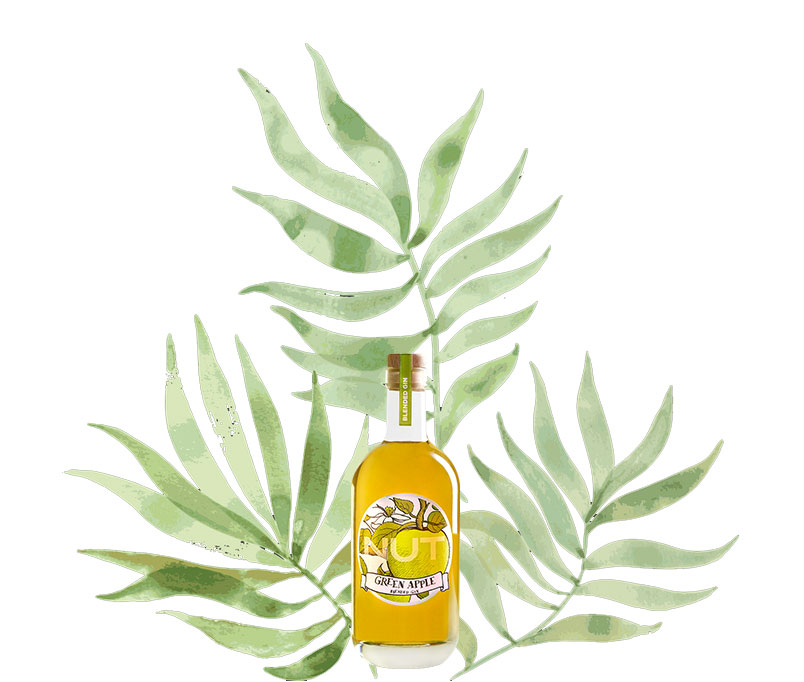 NUT 4er Set Blended Gin Green Apple 4x 0,7L (40% Vol) Grüner Apfel Gin NUT Distillery- [Enthält Sulfite]