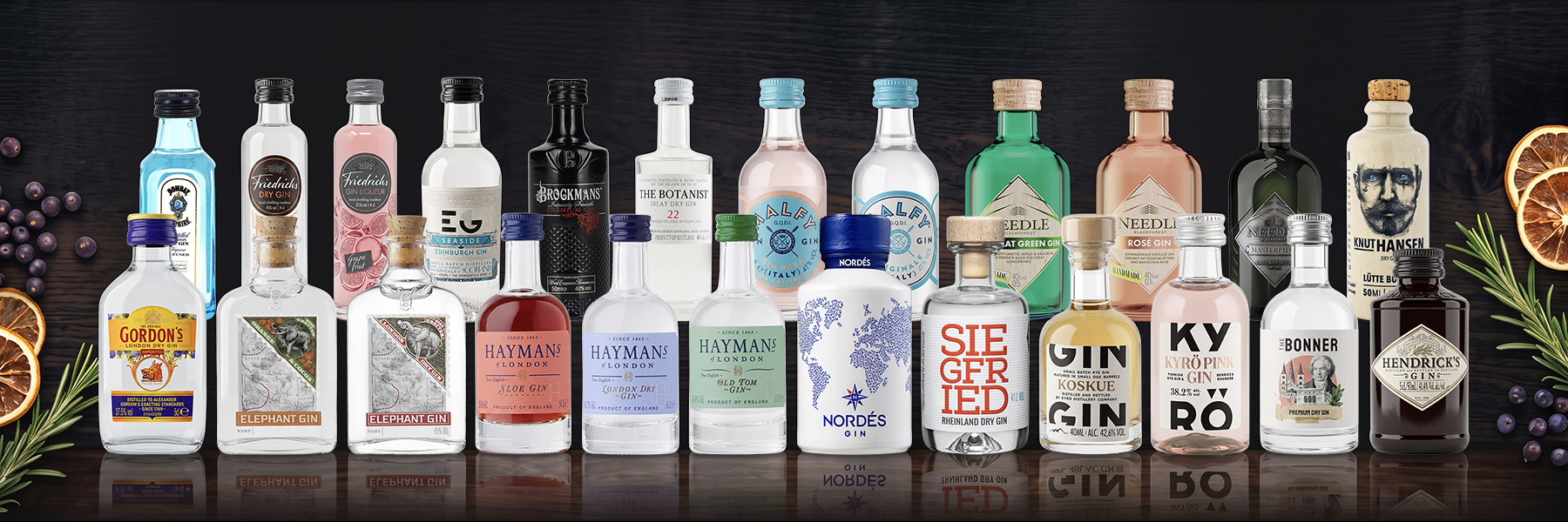 24 Originale Gin Miniaturen Übersicht