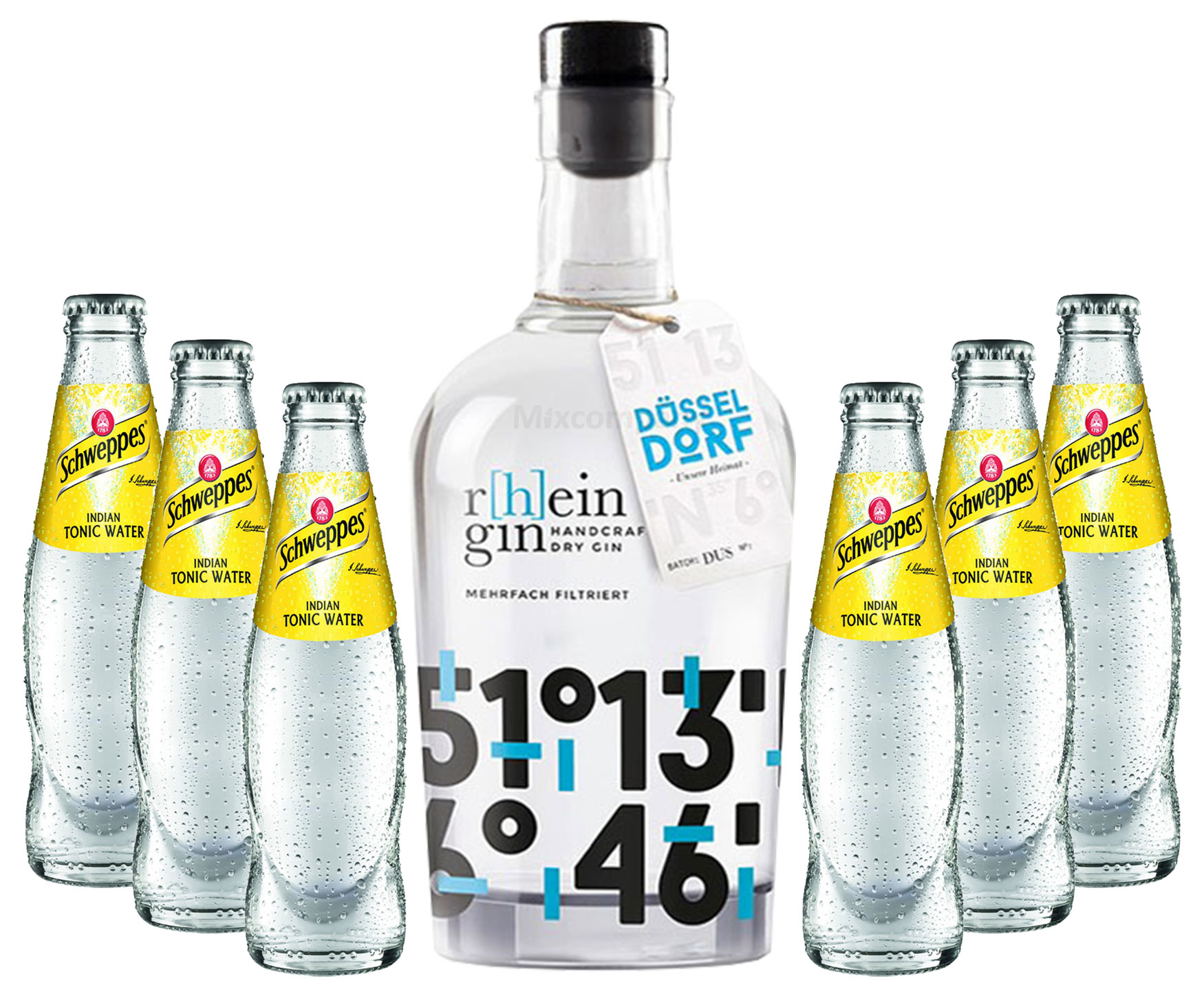 r[h]eingin Handcrafted Dry Gin 0,5l 500ml (46% Vol) + 6x Schweppes Tonic Water 200ml inkl. Pfand MEHRWEG Gin Tonic Bar- [Enthält Sulfite]