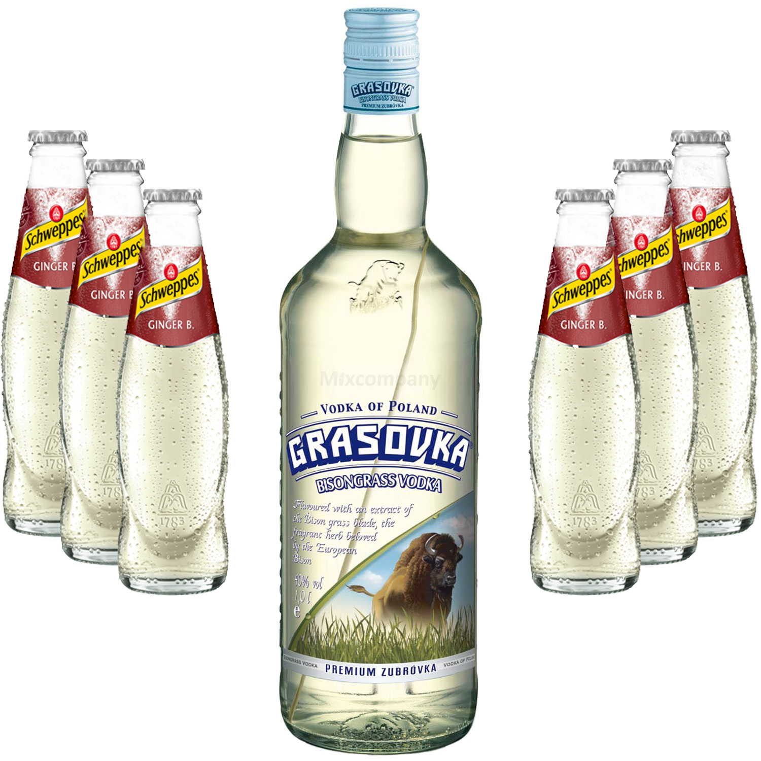 Moscow Mule Set - Grasovka Vodka 1L (40% Vol) + 6x Schweppes Ginger Beer 200ml - Inkl. Pfand MEHRWEG