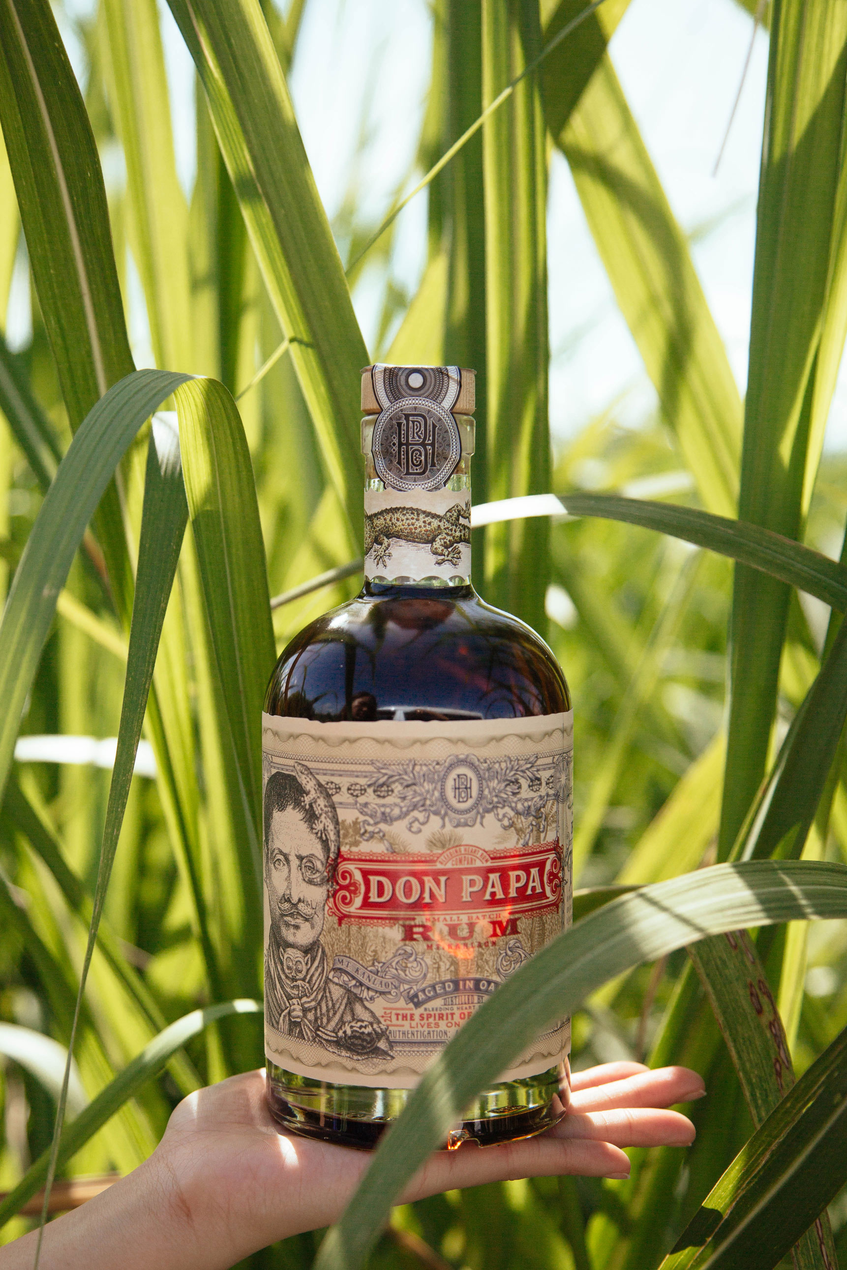 Don Papa Rum 0,7l (40% Vol) Ron Spirituose Bar Cocktail Longdrink Rarität - [Enthält Sulfite]