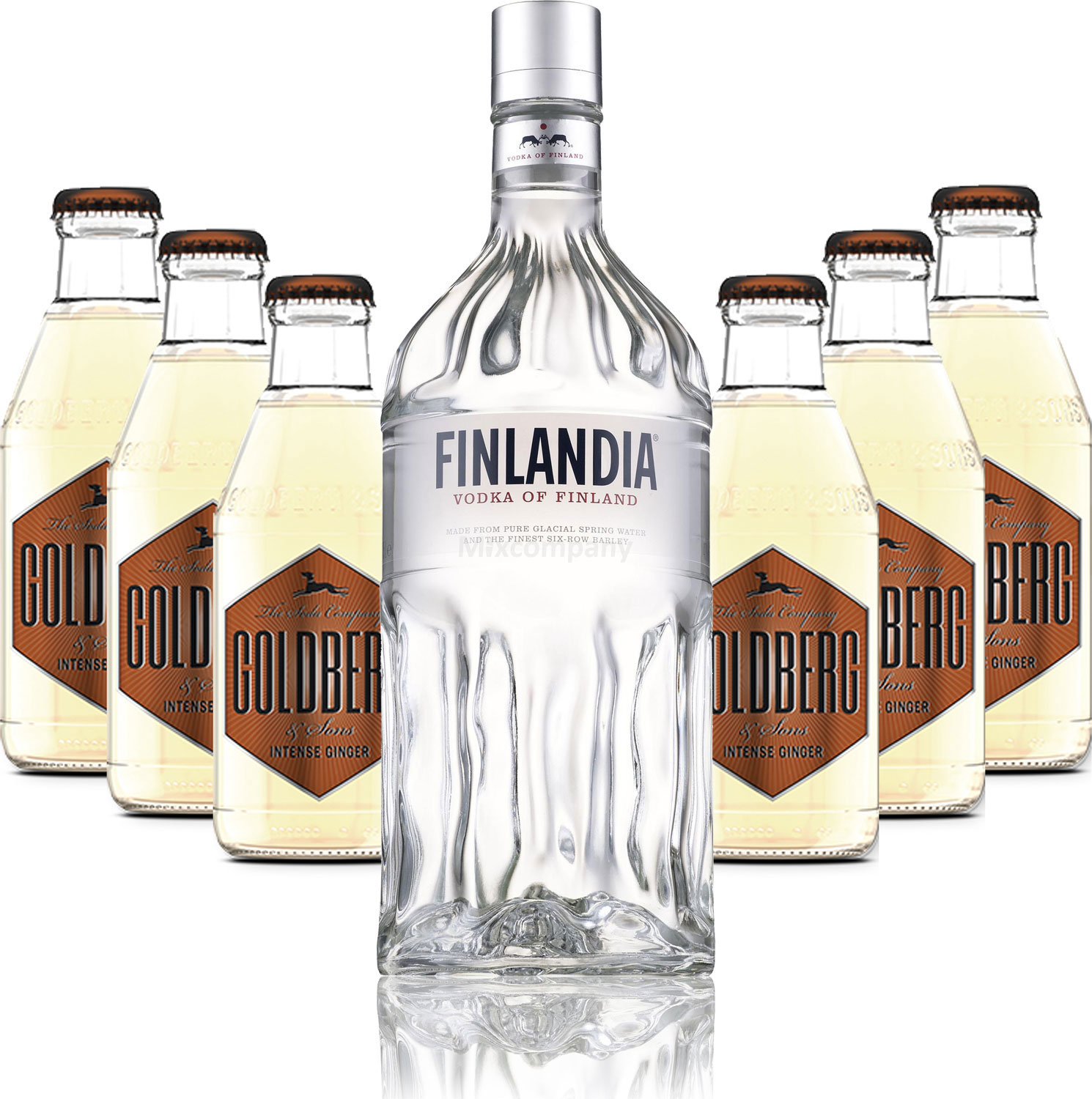 Moscow Mule Set - Finlandia Vodka 1L (40% Vol) + 6x Goldberg Intense Ginger 200ml - Inkl. Pfand MEHRWEG