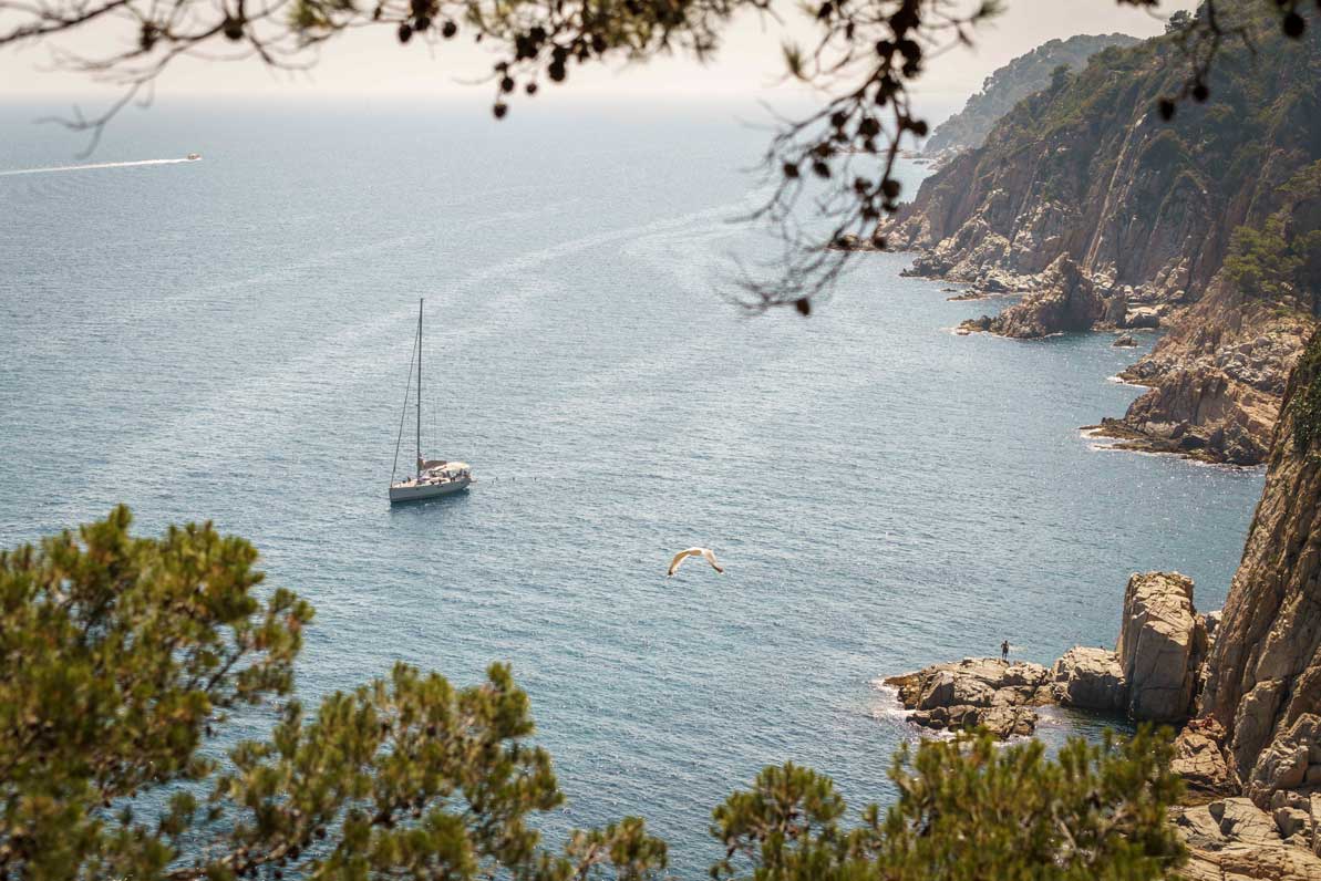 Gin Mare Gin tonic Set / Geschenkset - 2x Gin Mare Mediterranean Miniatur 100ml (42,7% vol ) + 4x Thomas Henry Tonic Water 200ml - Inkl. Pfand MEHRWEG