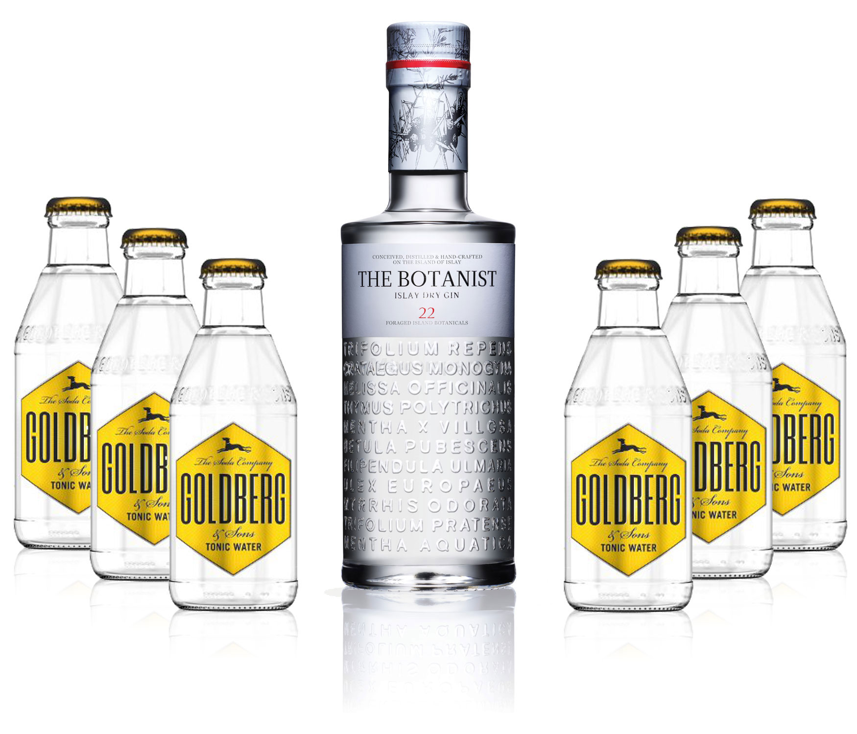 Gin Tonic Set - The Botanist Islay Dry Gin 0,7l 700ml (46% Vol) + 6x Goldberg Tonic Water 200ml inkl. Pfand MEHRWEG