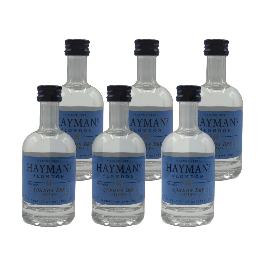 Haymans of London 6er-Set - London Dry Gin 6x Miniatur 50ml (41,2% Vol.)- [Enthält Sulfite]