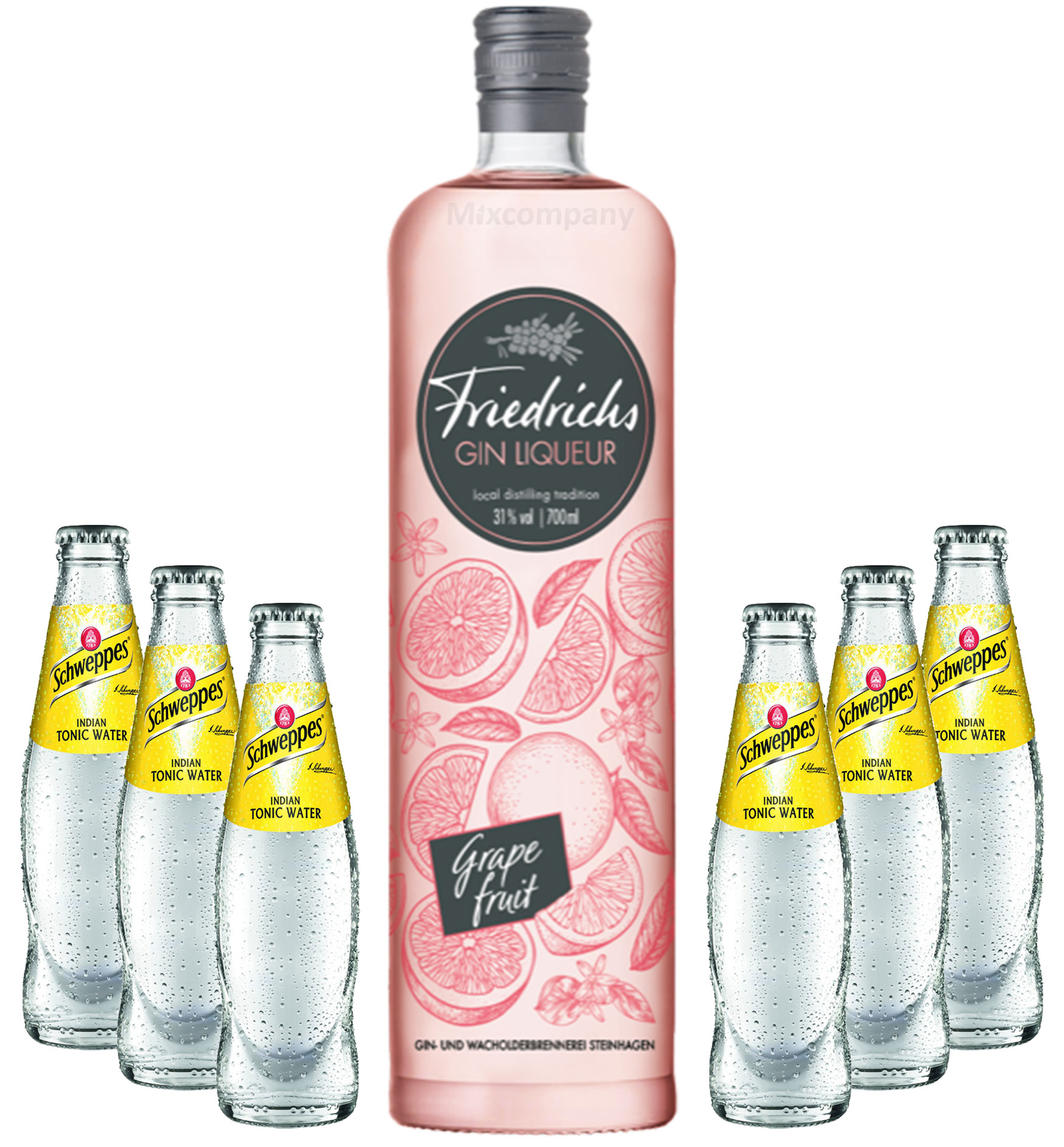 Friedrichs Gin Liqueur Grapefruit 0,7l 700ml (31% Vol) + 6x Schweppes Tonic Water 200ml inkl. Pfand MEHRWEG Gin Tonic Bar- [Enthält Sulfite]