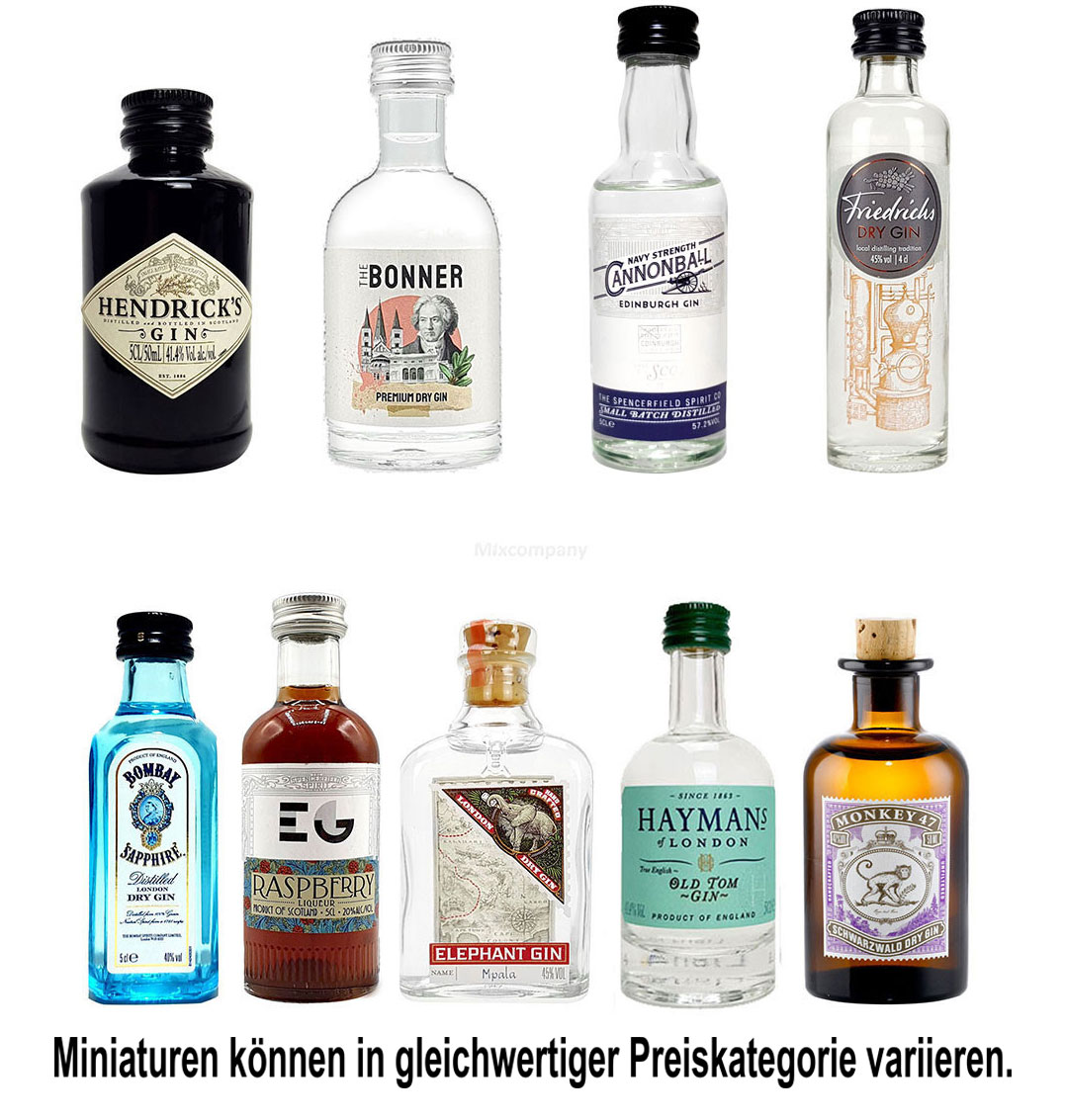 Mini Gin Probierset - 9 verschiedene Gin Sorten - NEU