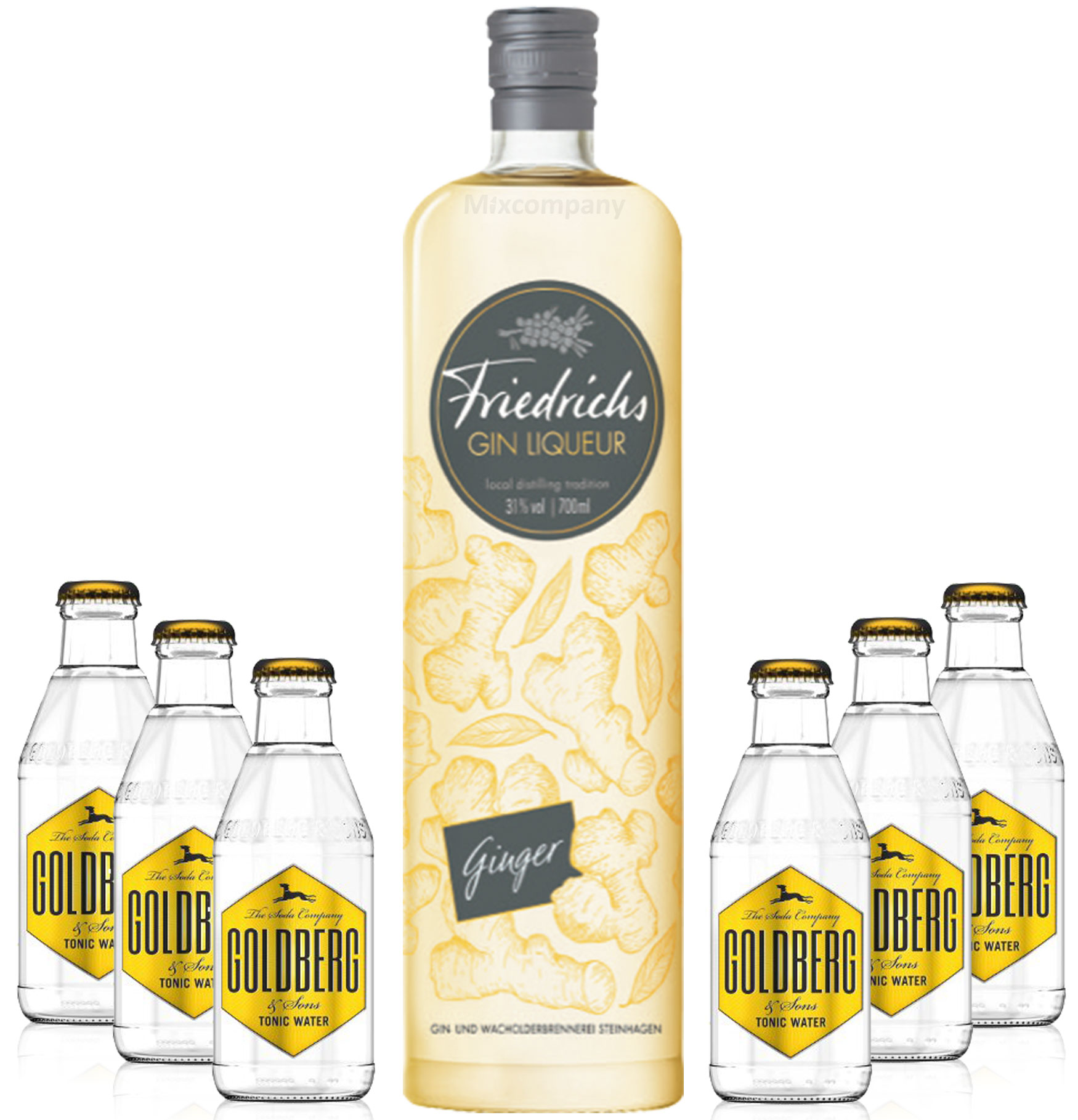 Friedrichs Gin Liqueur Ginger 0,7l 700ml (31% Vol) + 6x Goldberg Tonic Water 0,2l MEHRWEG inkl. Pfand Gin Tonic Bar- [Enthält Sulfite]