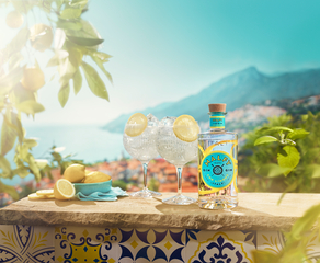 Malfy Gin Tonic Giftbox Set - Malfy Gin con Limone (Zitrone) 0,7l - 700ml (41% VOL) + 4x Fever-Tree Mediterranean Tonic Water 200ml inkl. Pfand MEHRWEG- [Enthält Sulfite]