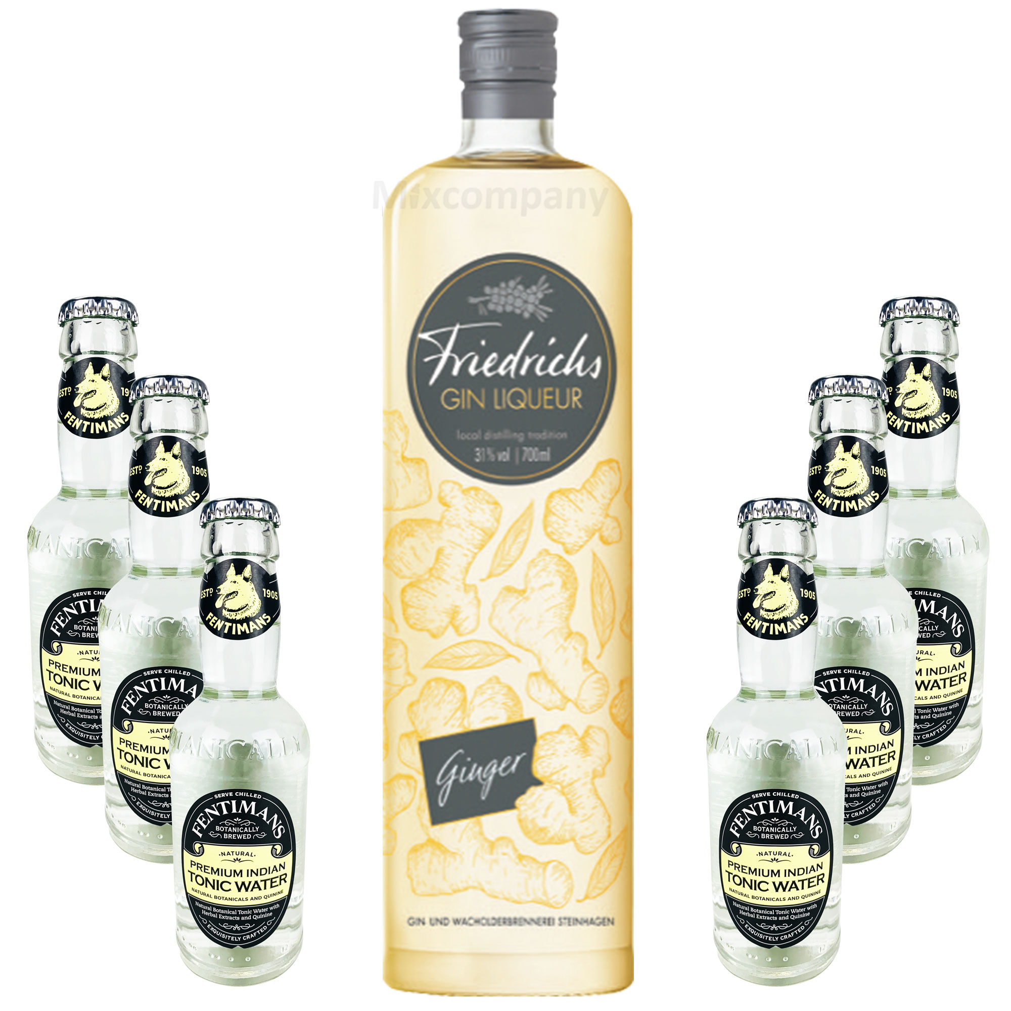 Friedrichs Gin Liqueur Ginger 0,7l 700ml (31% Vol) + 6 x Fentimans Premium Indian Tonic Water 0,2l MEHRWEG inkl. Pfand Gin Tonic Bar- [Enthält Sulfite]