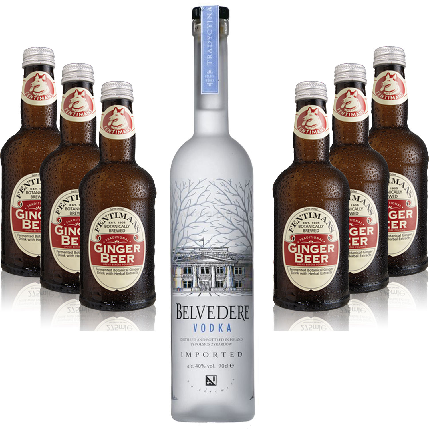 Moscow Mule Set - Belvedere Vodka 0,7l 700ml (40% Vol) + 6x Fentimans Traditional Ginger Beer 200ml - Inkl. Pfand MEHRWEG