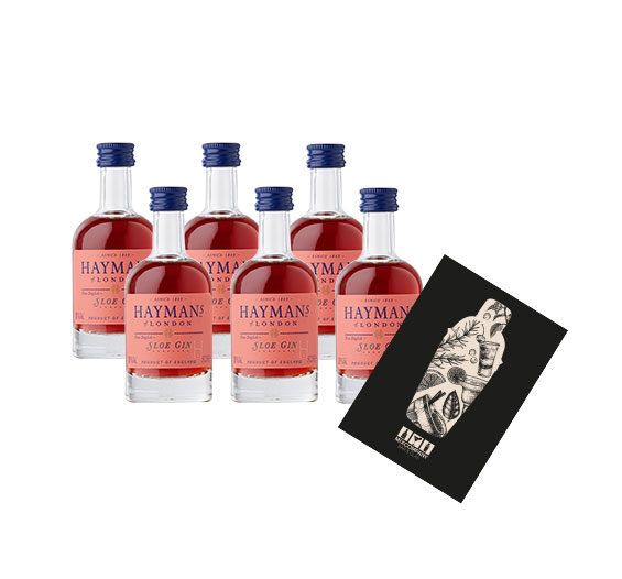 Haymans Sloe Gin Miniatur 6x 50ml (26% vol) Haymans of London Mini- [Enthält Sulfite]