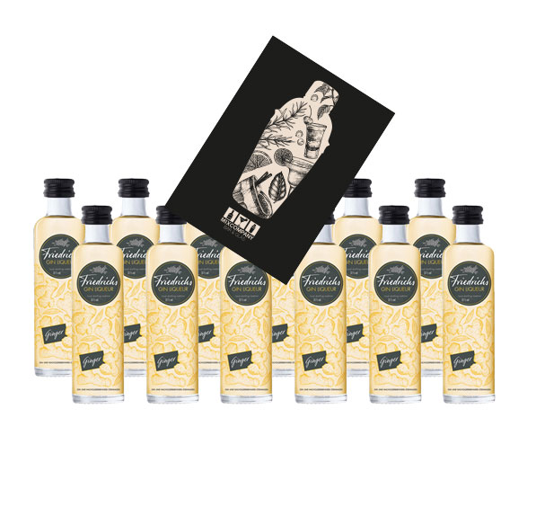 Friedrichs Gin Liqueur Ginger Miniatur 12x 40ml (31% vol) Gin Likör Ingwer- [Enthält Sulfite]