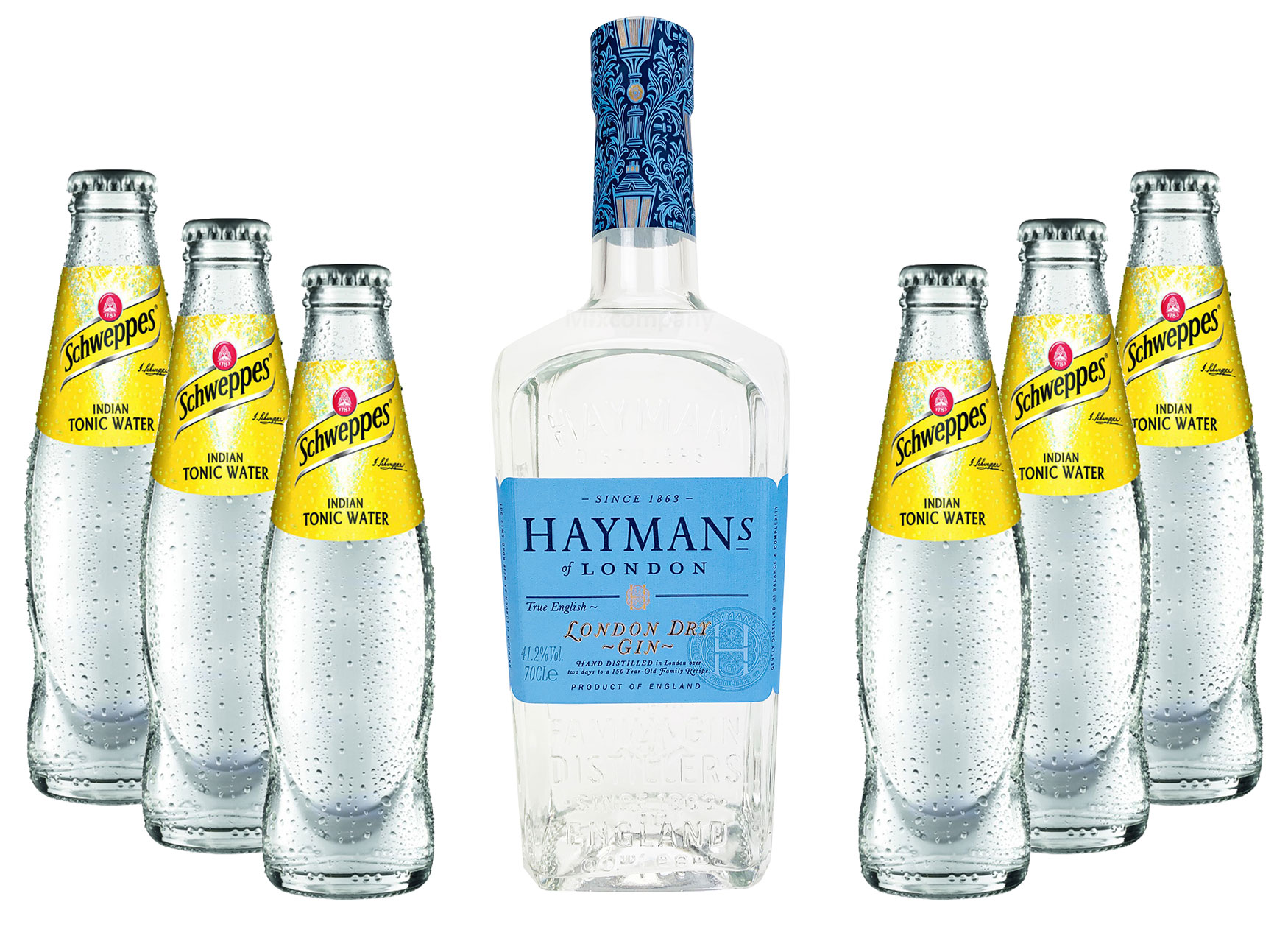 Haymans Dry Gin London 0,7l ( 41,2 % Vol) + 6x Schweppes Tonic Water 200ml Spirituose Bar Cocktail Longdrink Gin tonic- [Enthält Sulfite] - Inkl. Pfand MEHRWEG