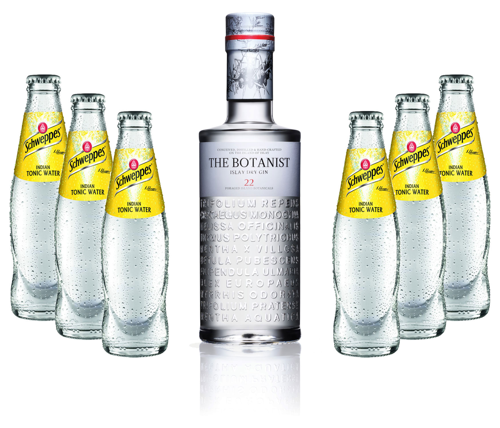 Gin Tonic Set - The Botanist Islay Dry Gin 0,7l 700ml (46% Vol) + 6x Schweppes Tonic Water 200ml inkl. Pfand MEHRWEG