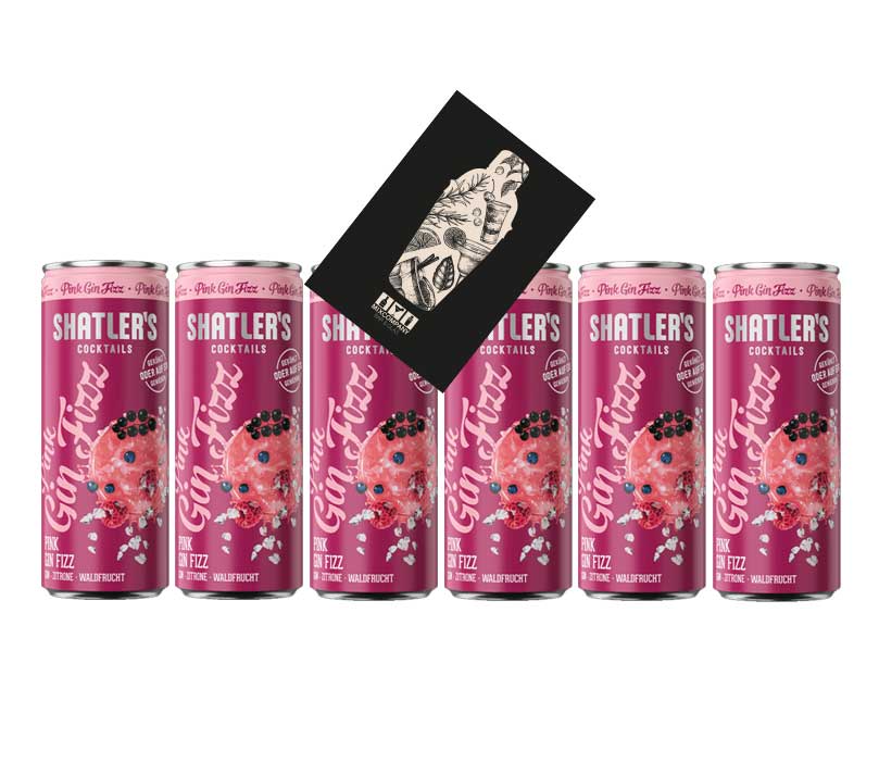 Shatlers 6er Set Pink Gin Fizz 6x 0,25L (10,1% Vol) inkl. Pfand EINWEG- [Enthält Sulfite]