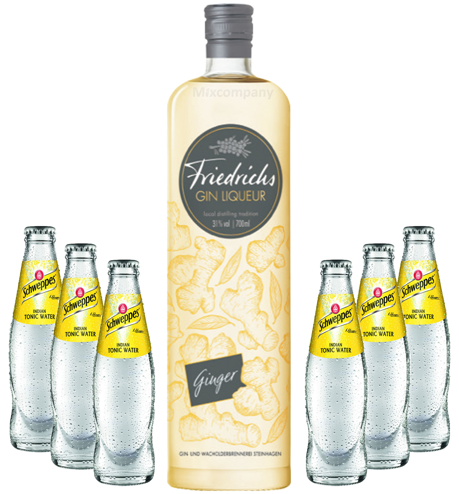 Friedrichs Gin Liqueur Ginger 0,7l 700ml (31% Vol) + 6x Schweppes Tonic Water 200ml inkl. Pfand MEHRWEG Gin Tonic Bar- [Enthält Sulfite]