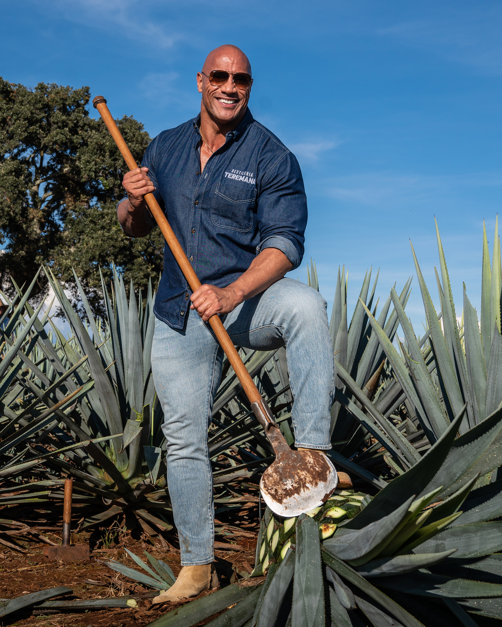 Teremana Tequila Geschenkset - Reposado 0,7L (40% Vol) 2 Tumbler Kristalloptik Dwayne The Rock Johnson Tequila Gold- [Enthält Sulfite]