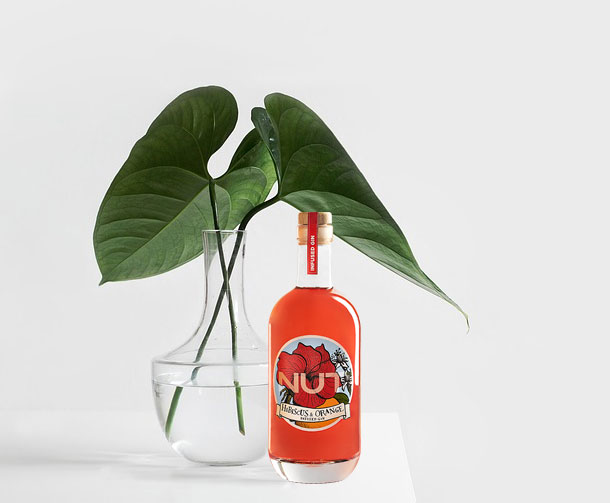 NUT 2er Set Infused Gin Hibiscus Orange 2x 0,7L (40% Vol) Hibiskus Orange Gin NUT Distillery- [Enthält Sulfite]