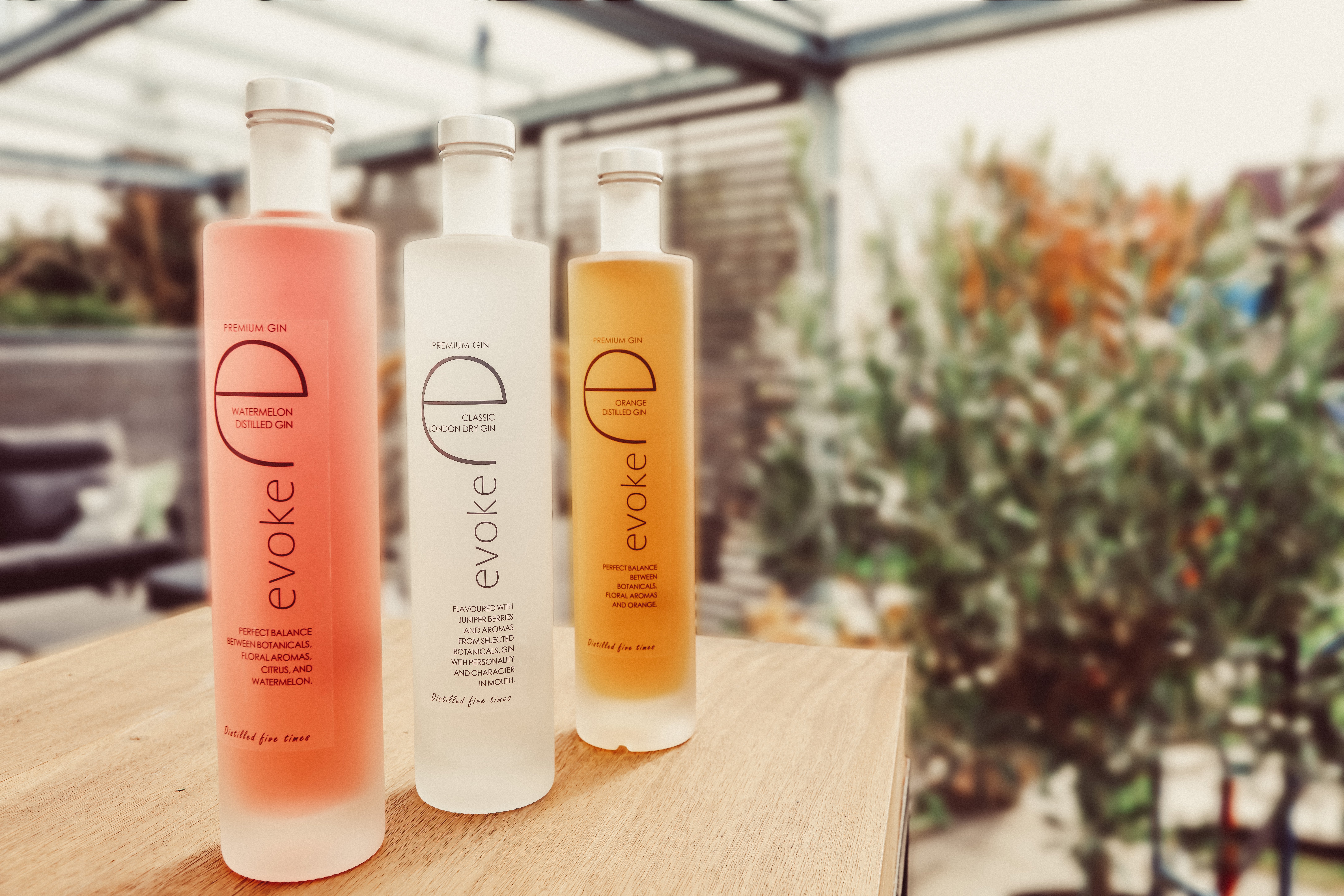 Evoke 2er Set London Dry Gin 2x 0,7L (40% Vol) Der 5 fach destillierte Gin mit Aromen von Wacholderbeeren und ausgewählten Botanicals - [Enthält Sulfite]