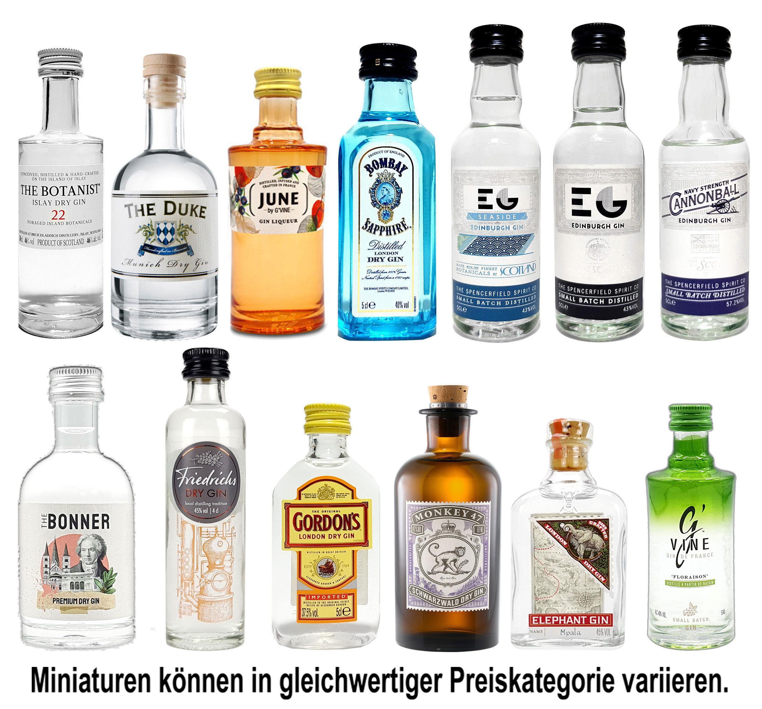 Gin Mini Set Probierset 13er - G Vine + Bombay + Edinburgh + Gordons + Monkey 47 + Friedrichs + The Bonner + The Botanist + Duke + June + Elephant Gin- NEU