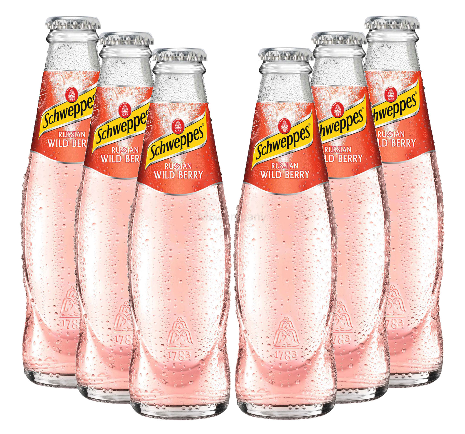 Schweppes Russian Wild Berry - 6x200ml = 1200ml - Inkl. Pfand MEHRWEG