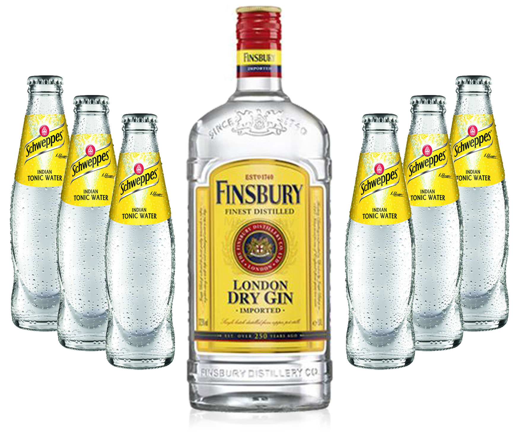 Gin Tonic Set - Finsbury London Dry Gin 0,7l 700ml (37,5% Vol) + 6x Schweppes Tonic Water 200ml - Inkl. Pfand MEHRWEG