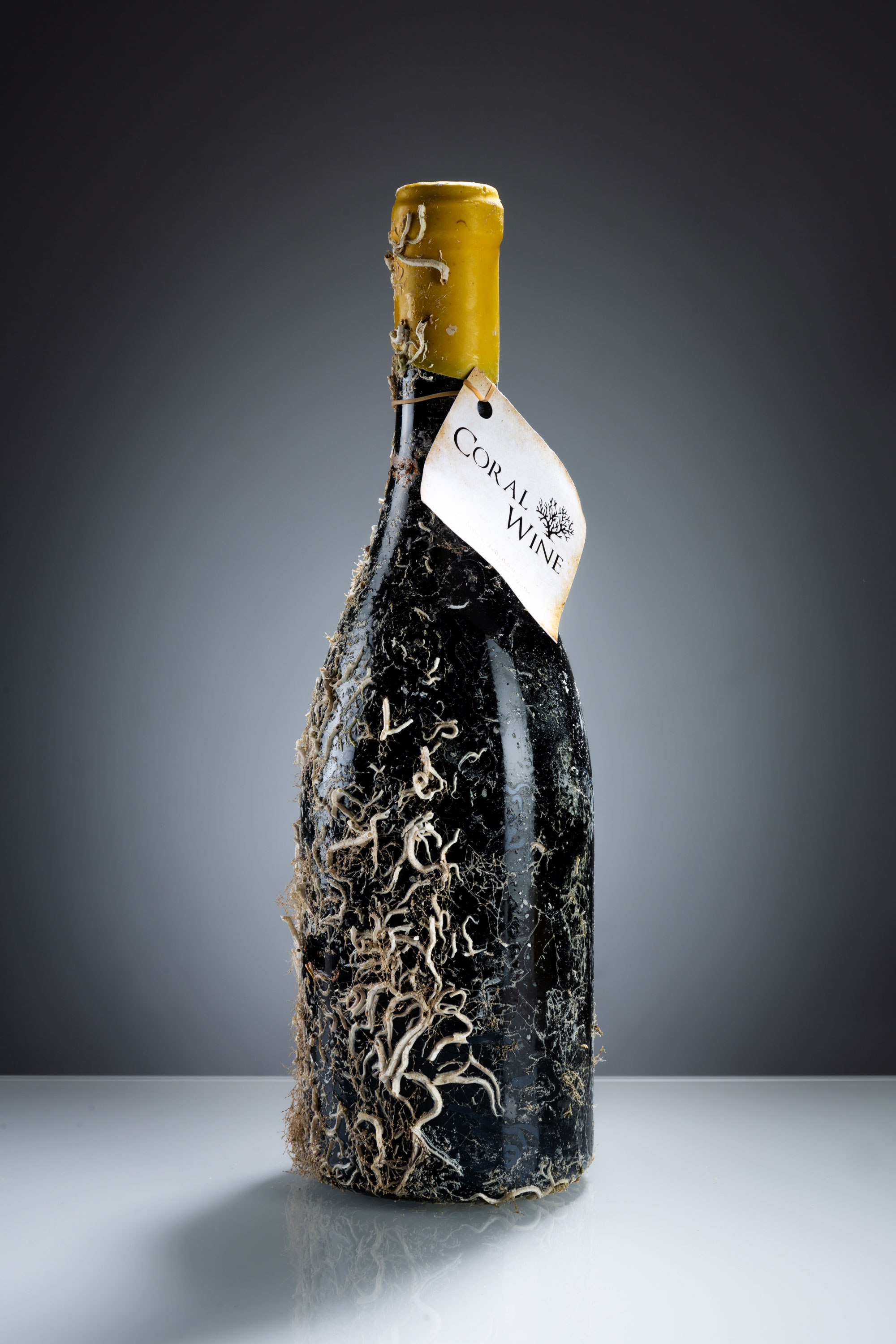 Coral Wine Ex Cathedra Sauvignon Blanc Jahrgang 2016 0,75l (14,5% Vol) - Weißwein mit echten Korallen- [Enthält Sulfite]