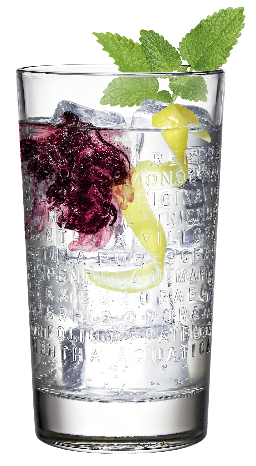 Botanist Gin Schuber Geschenkset - The Botanist Islay Dry Gin 0,7l (46% Vol) + 2x Longdrinkgläser + Blumentopf / Pflanzkübel aus Metall mit Logo- [Enthält Sulfite]